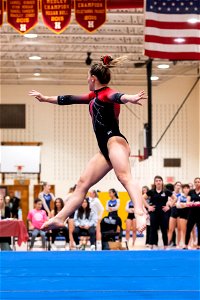Sectional Finals-7624