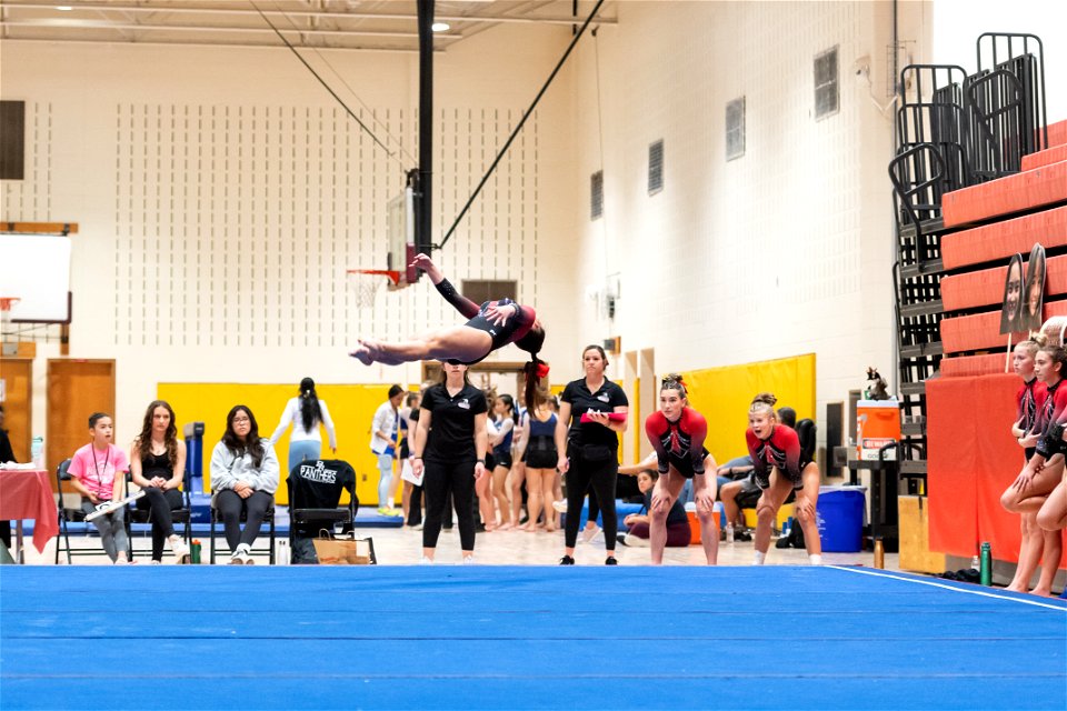 Sectional Finals-7414