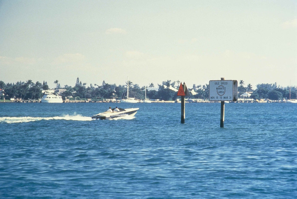 Area boat boat racing photo