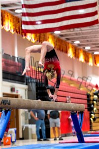 Sectional Finals-7093