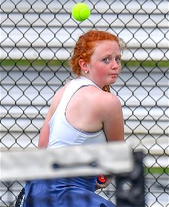 DSC_2230