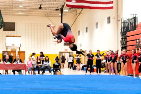 Sectional Finals-7336