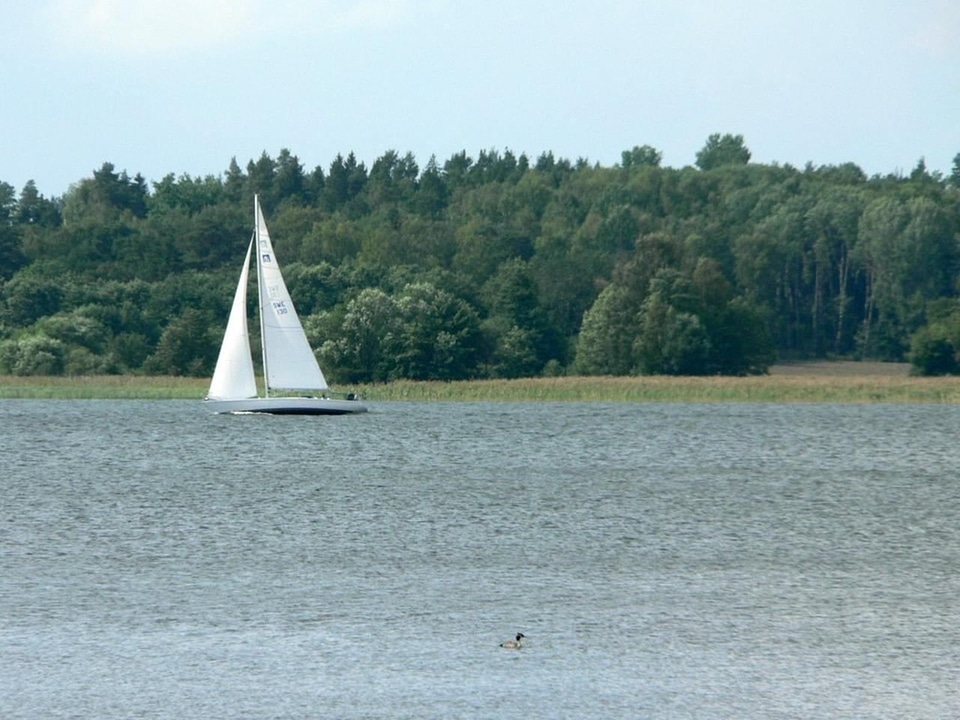 Wind  