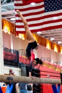 Sectional Finals-7006
