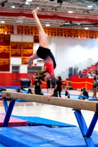 Sectional Finals-6908