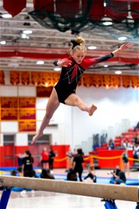 Sectional Finals-6913