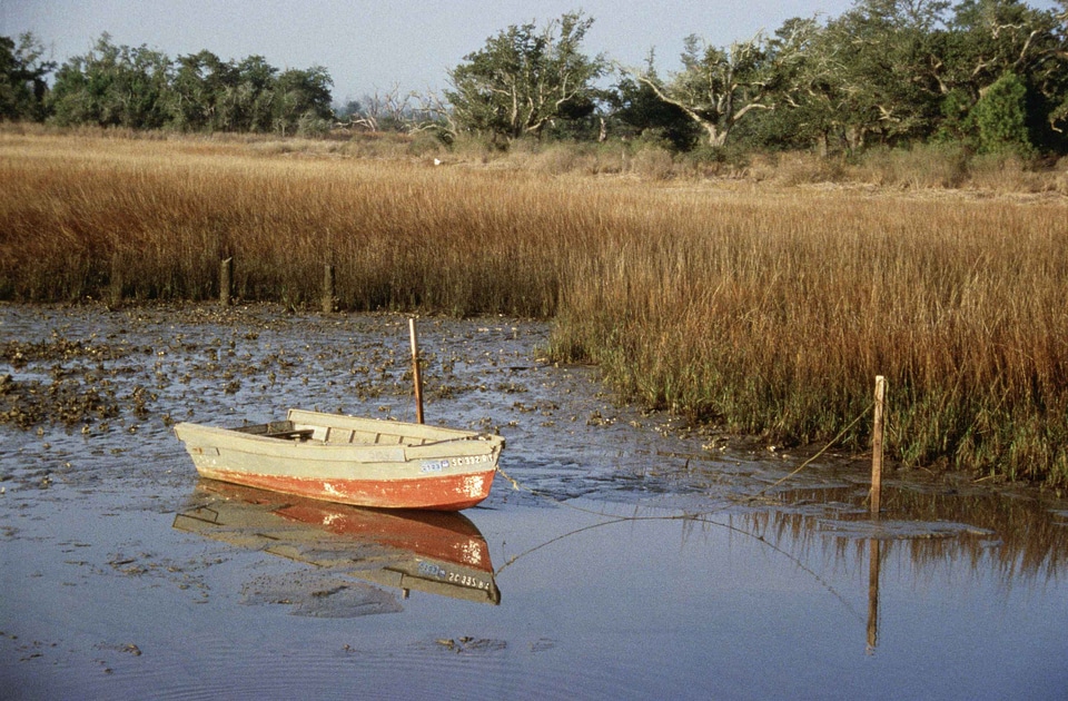 Boot little low tide