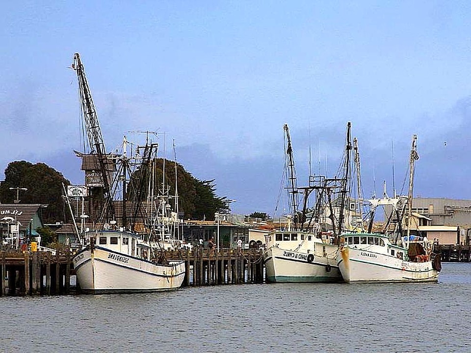 Boats fishery ocean