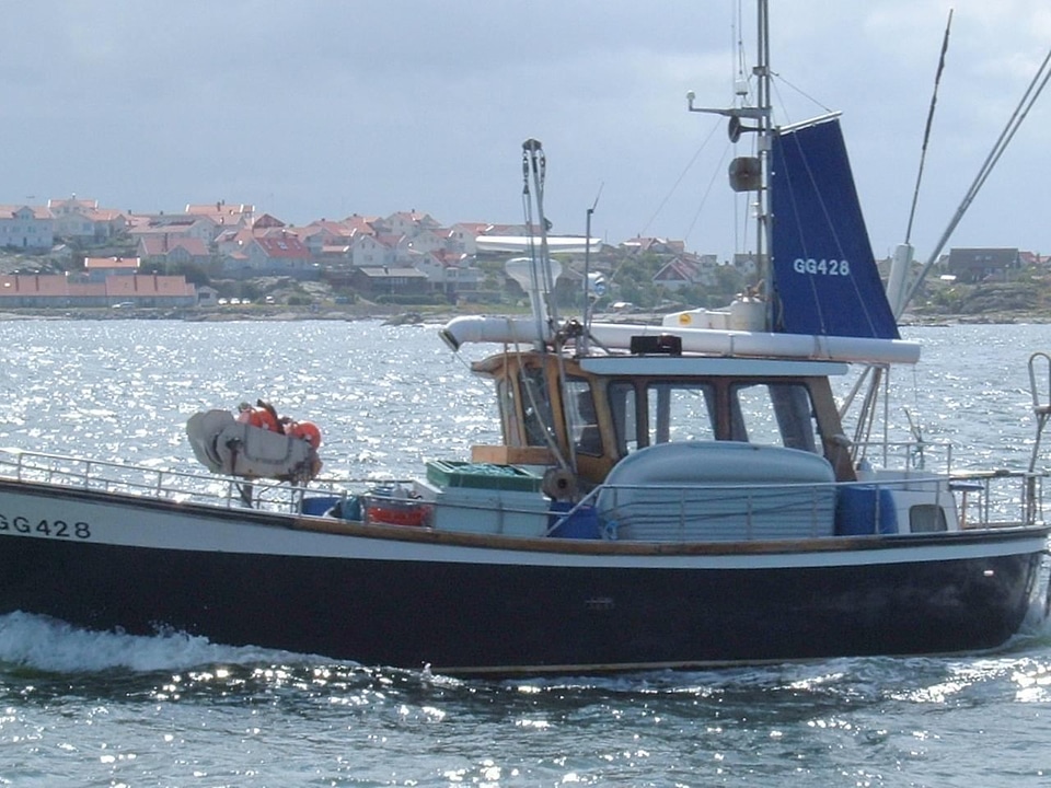 Boot fishery fishing boat