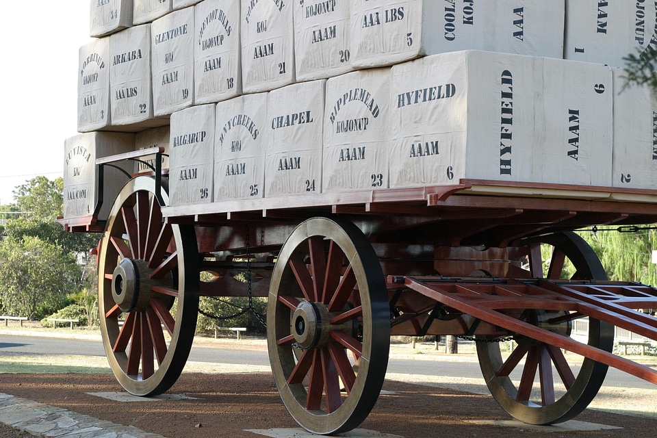 Carriage fleece replica