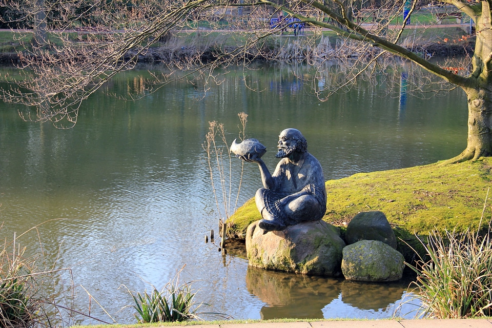 Water tree spring