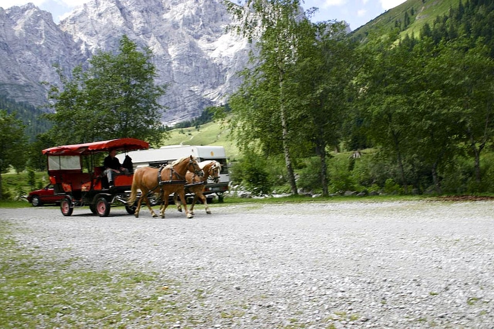 Car horse 