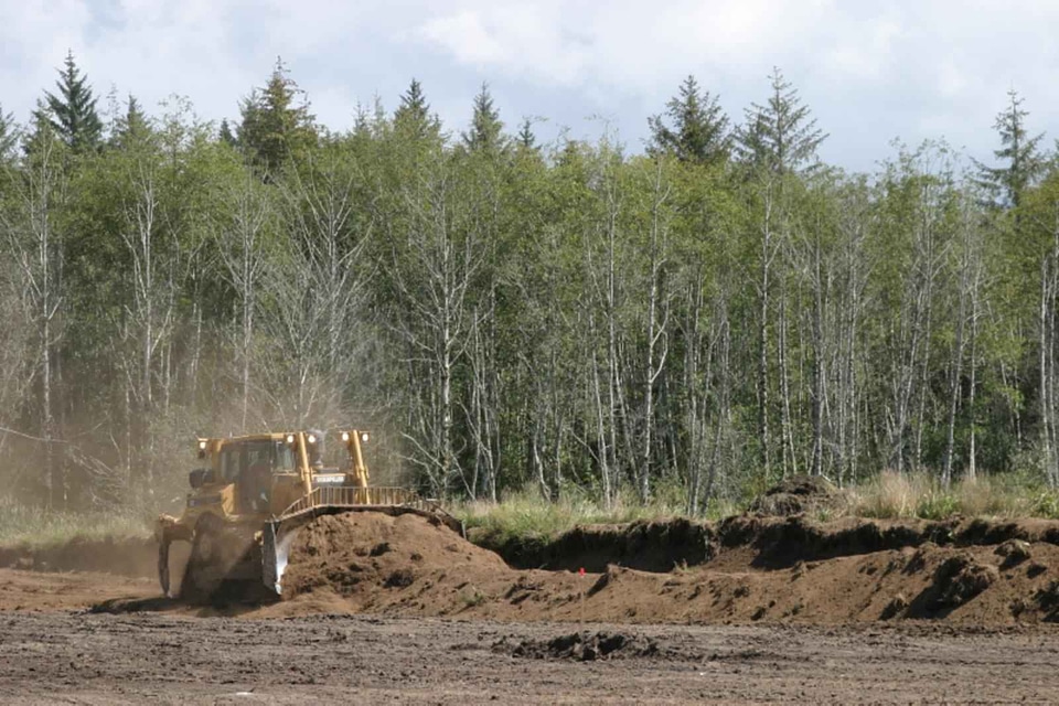 Blueberry bulldozer court