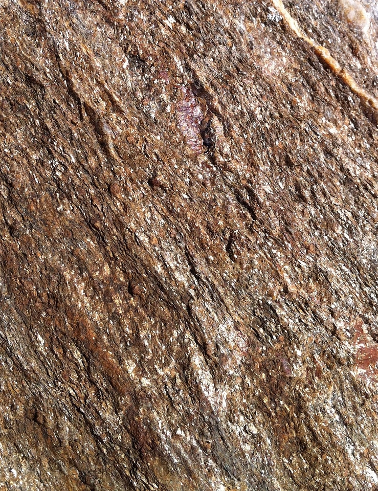 Rock stone gneiss