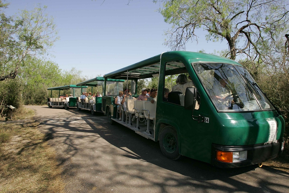 Park tourist 