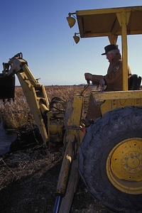 Area dependent habitat