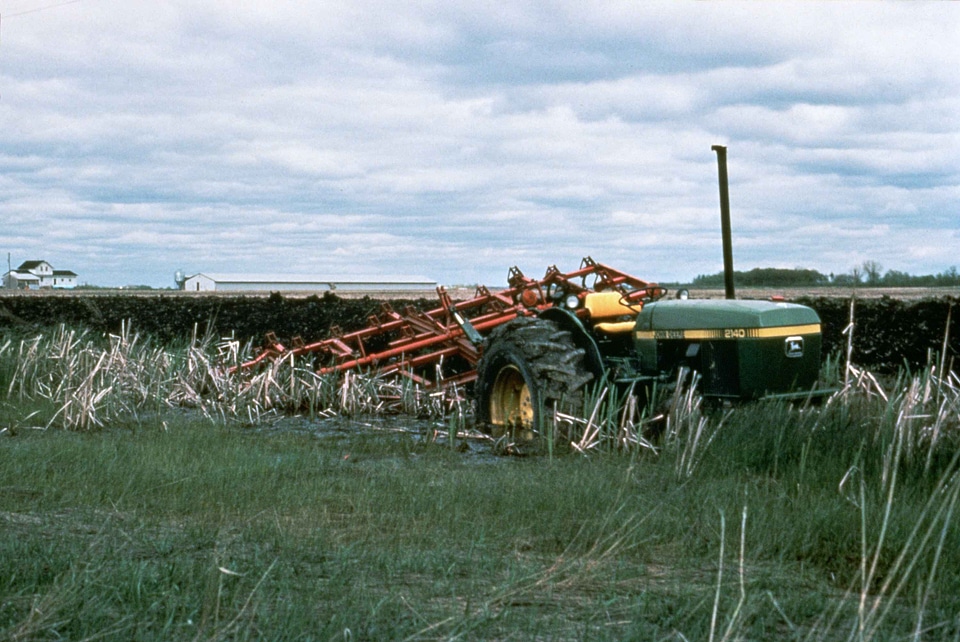 Plow tractor whereas