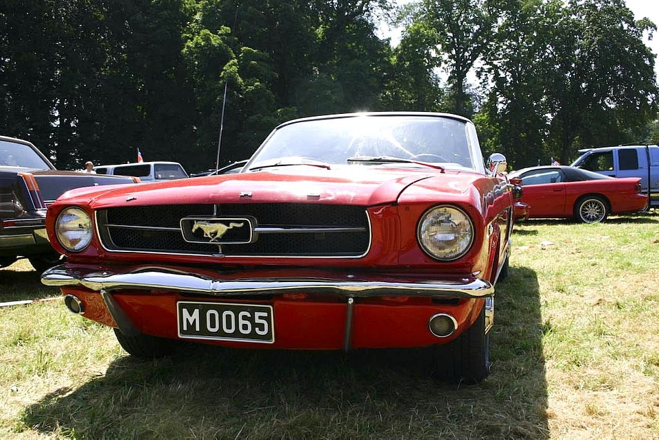 Car mustang oldtimer