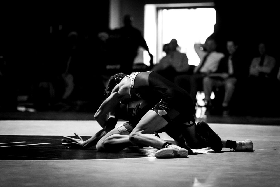 HC vs North-4074
