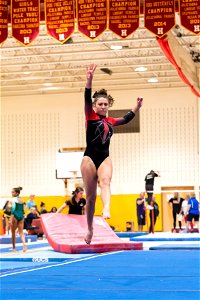 Sectional Finals-7364