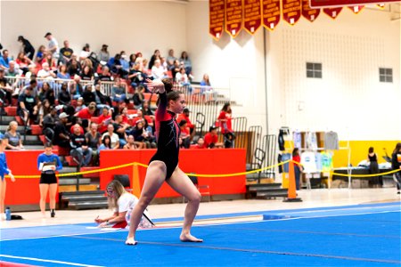 Sectional Finals-7307