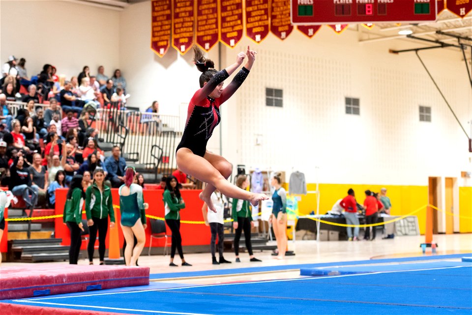 Sectional Finals-7413