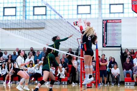 HC vs Montgomery-6646