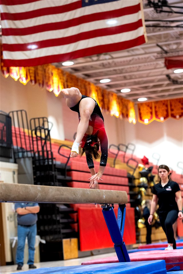 Sectional Finals-7183