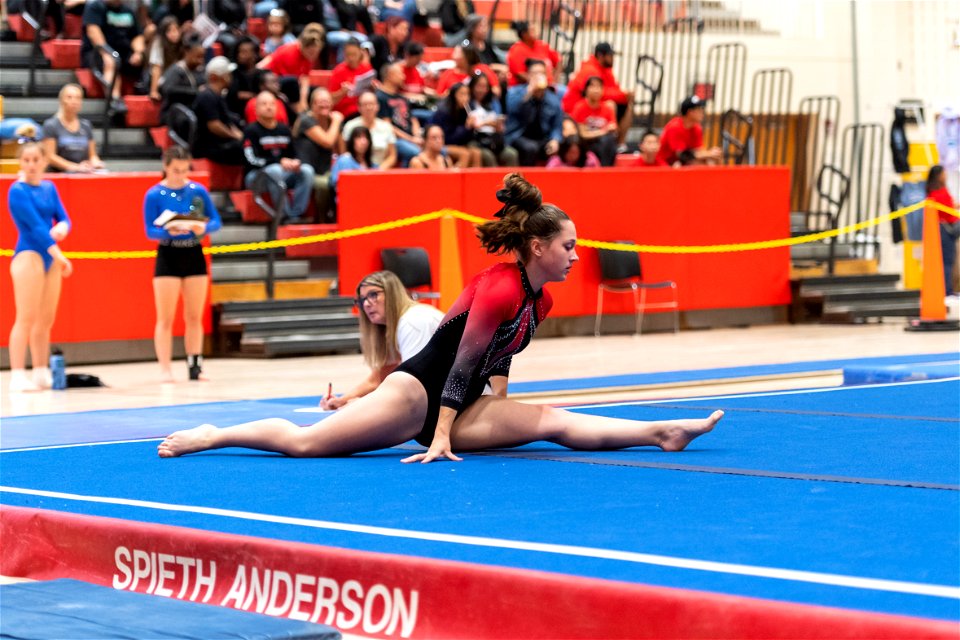 Sectional Finals-7309