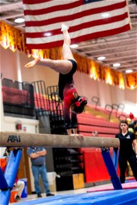 Sectional Finals-7178