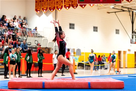 Sectional Finals-7402