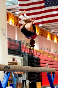 Sectional Finals-7222