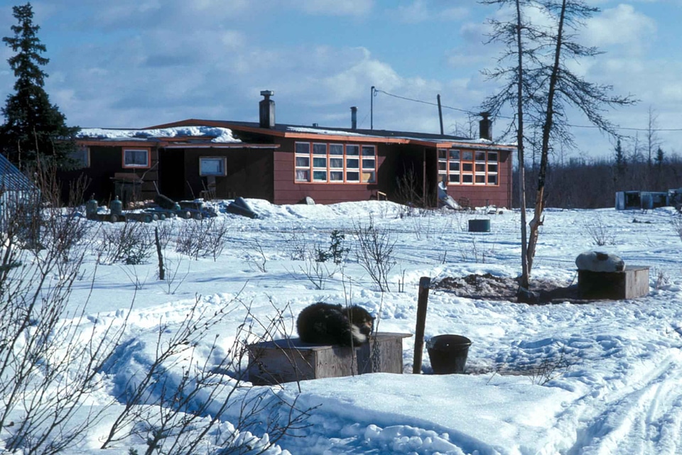 City school 