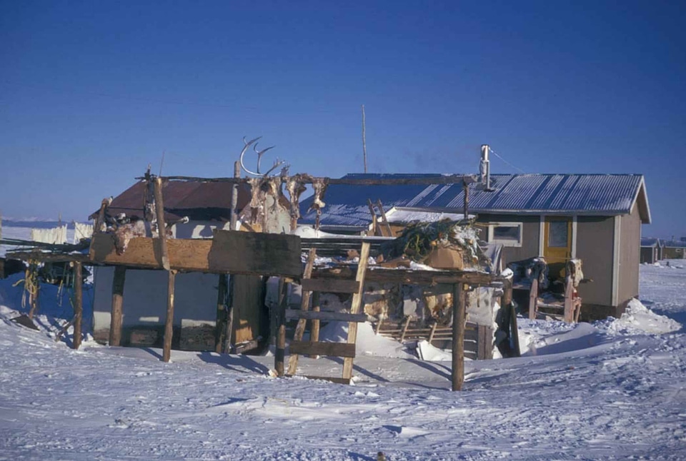 At Home caribou city