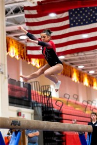 Sectional Finals-7177