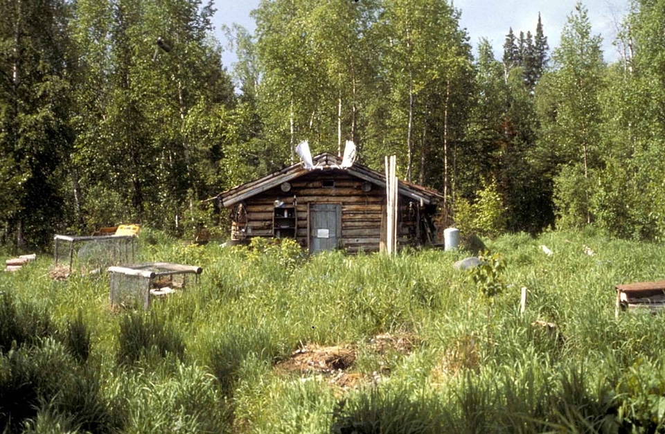 Cabin log cabin river