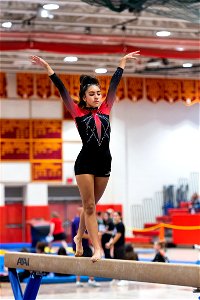 Sectional Finals-6903