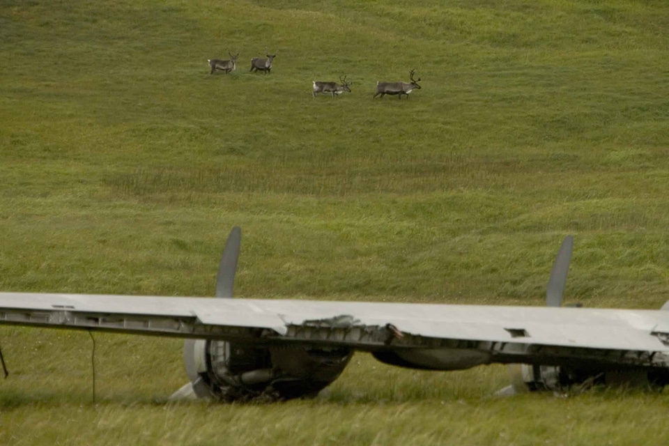 Airplane background foreground