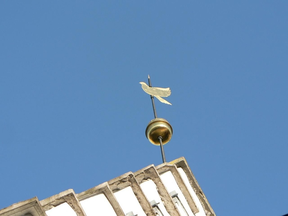 Dove vane 