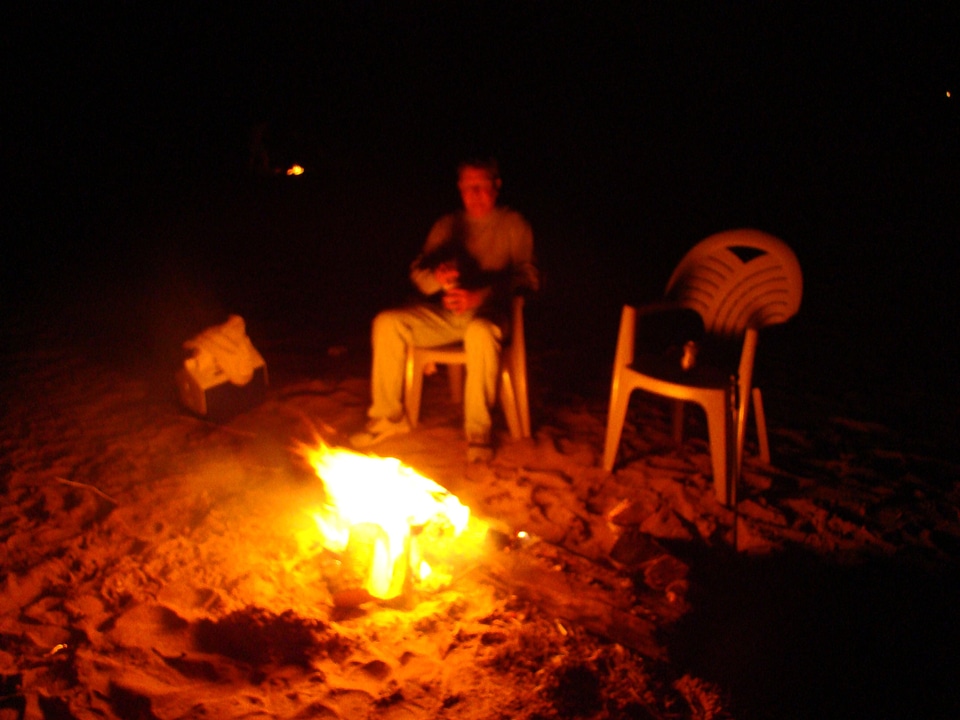 Evening fire phylum
