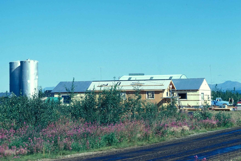 Energy light plant