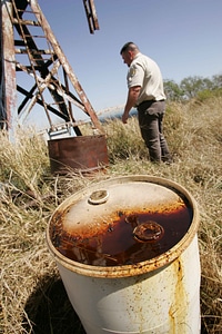 Carapace estate oil