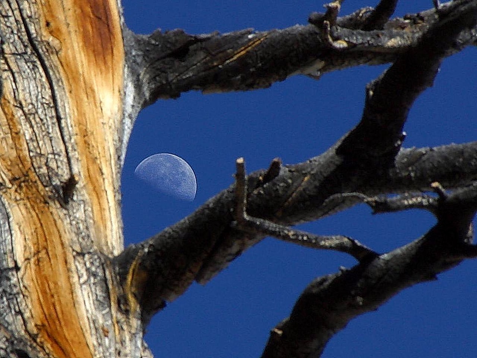 Lake moon park