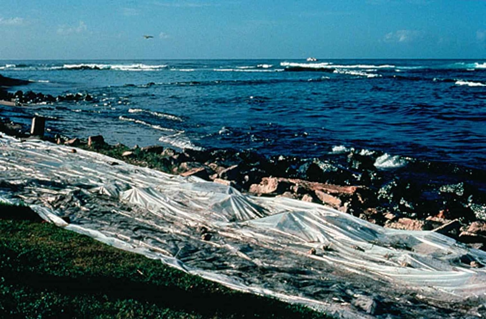 Clear shoreline 