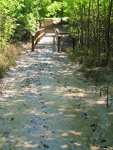 Chimney river sediment