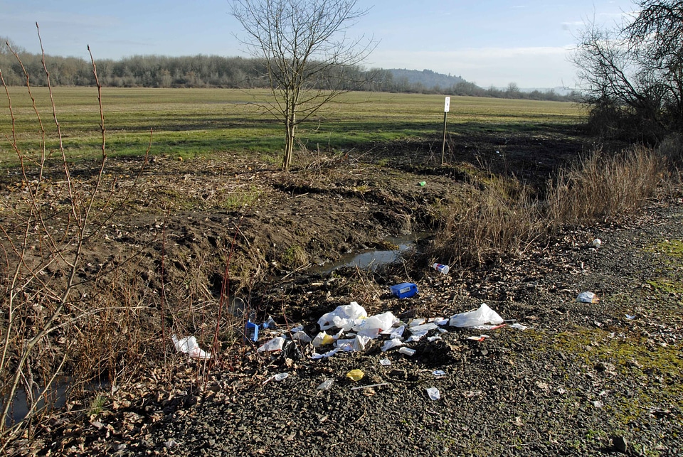 Garbage road side