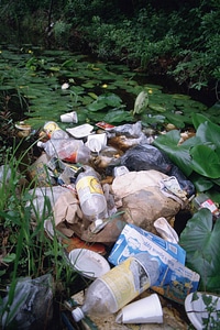 Area contamination litter photo
