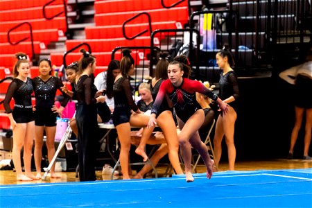 Gymnastics-2536