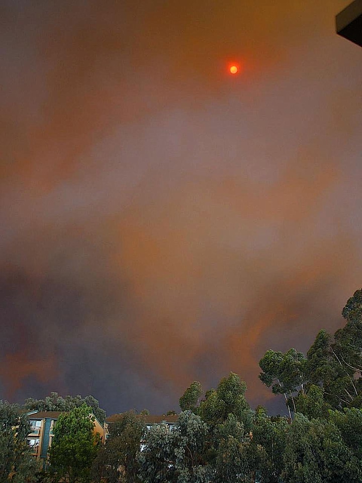 Smoke  