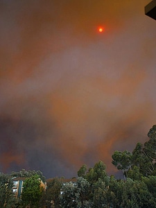 Smoke  